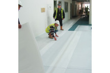 TwinShield 2mm x 1.2m x 2.4m Trans (25)